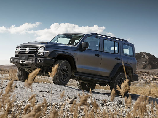 İyi Durum Yeni Sürüm 3.0T Tank 300 SUV 4WD Hibrit EV Petrol Yeni Araba